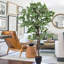 Destinae 180cm Lifelike Plant: No Maintenance & Year-Round Elegance