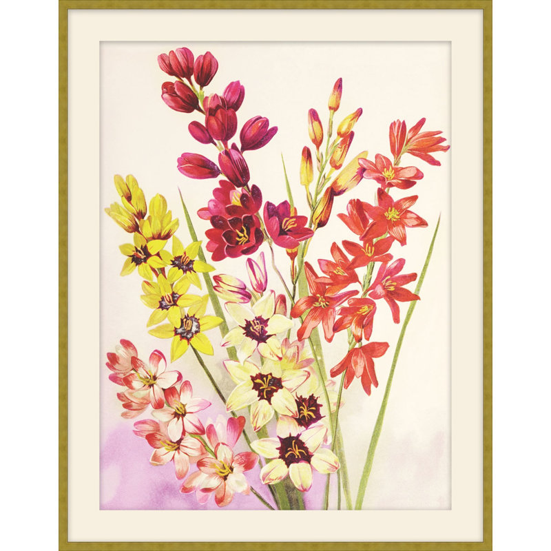 Jewel Blooms 6 Print, 44.5" H x 35.5" W