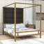 Upholstered Bed-133524079-133524081
