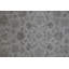 Oriental Area Rug in Ivory