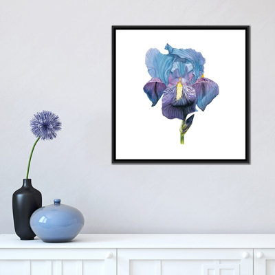 «Brighton Blooms IV», impression sur toile