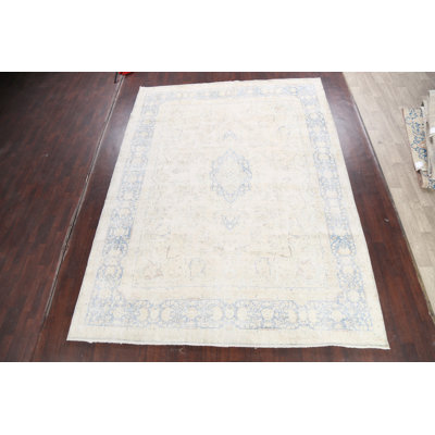 Muted Distressed  Traditional Area Rug 10x13