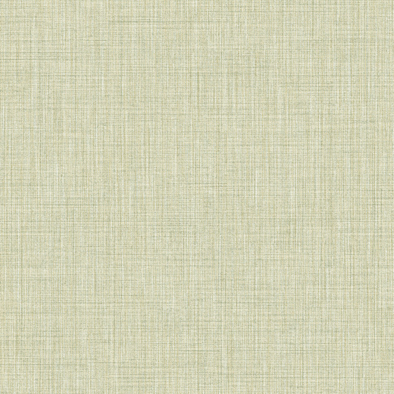 Deralin 10.05m x 53cm Textured Matte Wallpaper Roll, Green