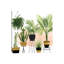 Indoor Oasis II 1 Piece Wrapped Canvas Wall Art-1361266122