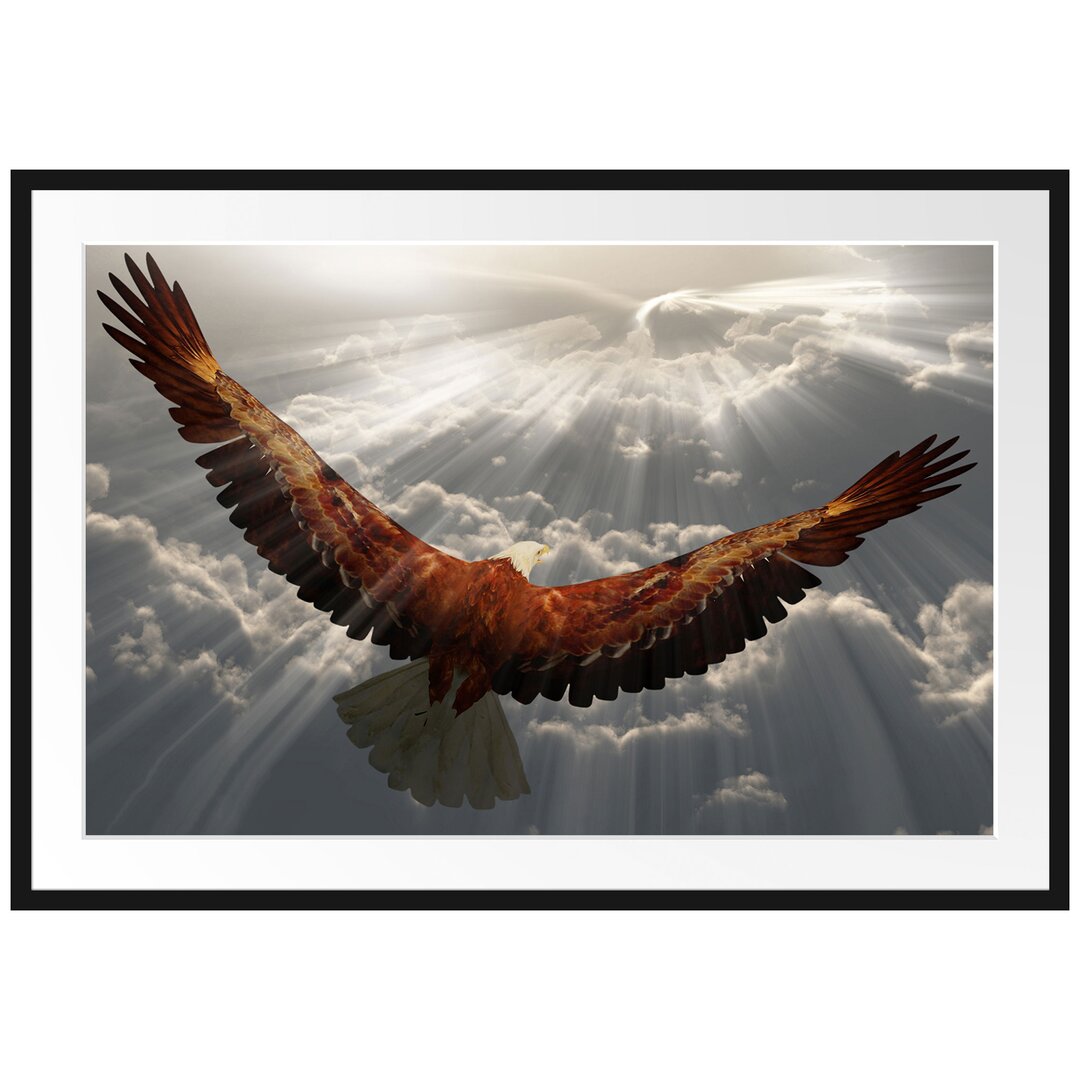 Anmutiger Adler über den Wolken Gerahmter Fotokunstdruck Poster