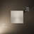 Honesty 8" Single-Function Wall or Ceiling-Mount Square Rainhead, Square Rain Showerhead 2.5 GPM-50499142