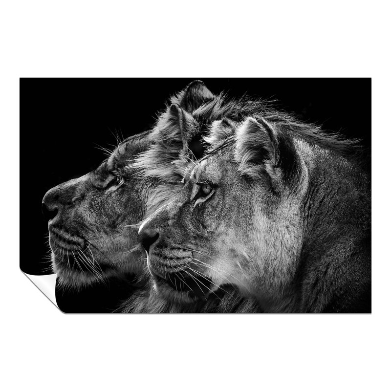 Lion And Lioness Portrait - No Frame Print, 20cm H x 31cm W x 0.5cm D