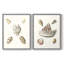 Pastel Knorr Shells VI - reproduction encadrée de qualité supérieure - prête à être accrochée - aucun clou requis - aucun clou requis-171660163-171660161