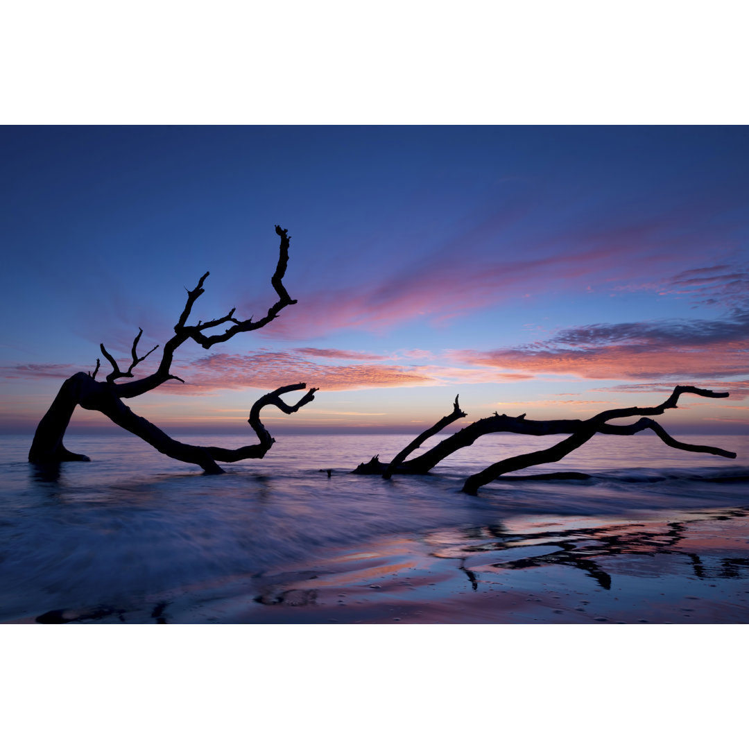 Driftwood Beach