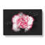 Pink Carnation Flower - Wrapped Canvas-56645335