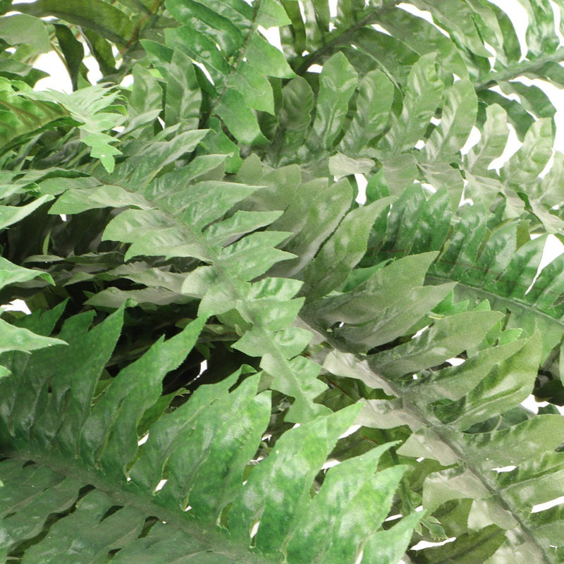 2 plantes de fougère artificielle Boston
