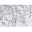 Lustre suspendu 8 lumières Varner-68368616