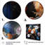 «Blue and Orange Birds Symphony», art mural animaux-239547805-239547794
