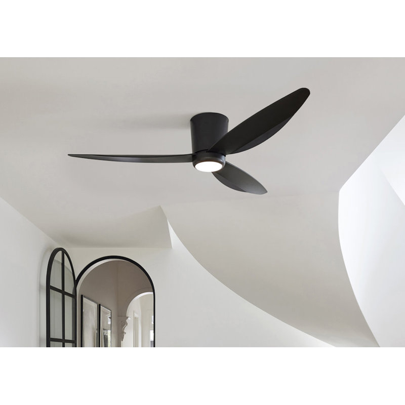 137cm Arren 3 - Blade Ceiling Fan with Remote Control and Light Kit Included, Black