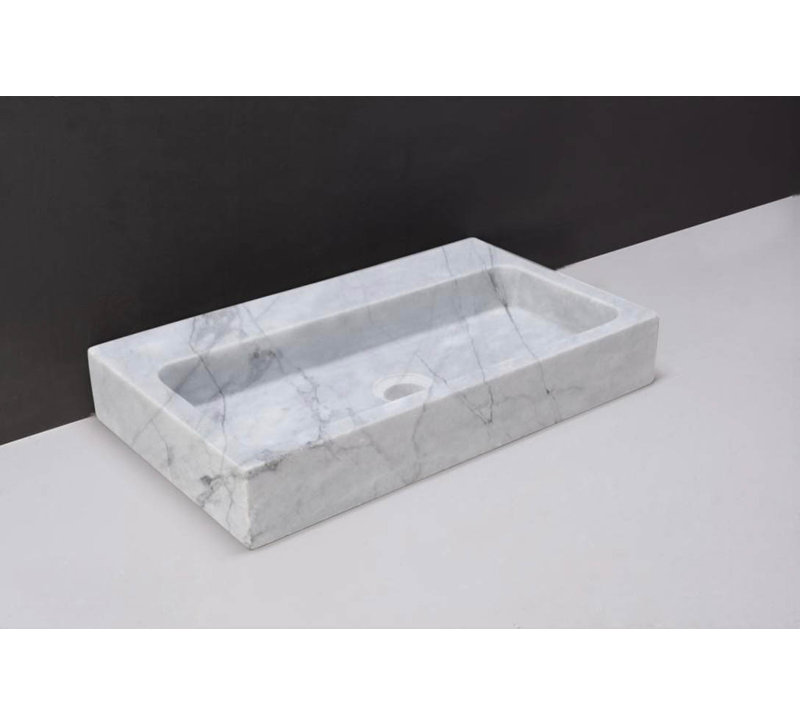 Forzalaqua 50Cm Single Bathroom Vanity Top in Polished with Sink