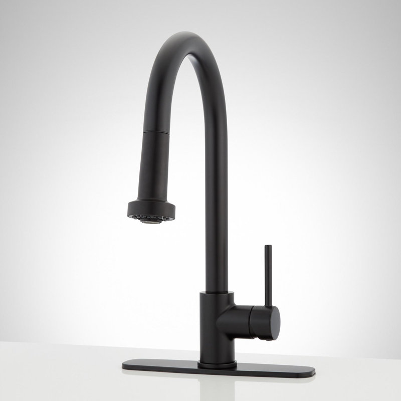 Ridgeway Pull-Down Kitchen Faucet with Deck Plate - Matte Black, Matte Black