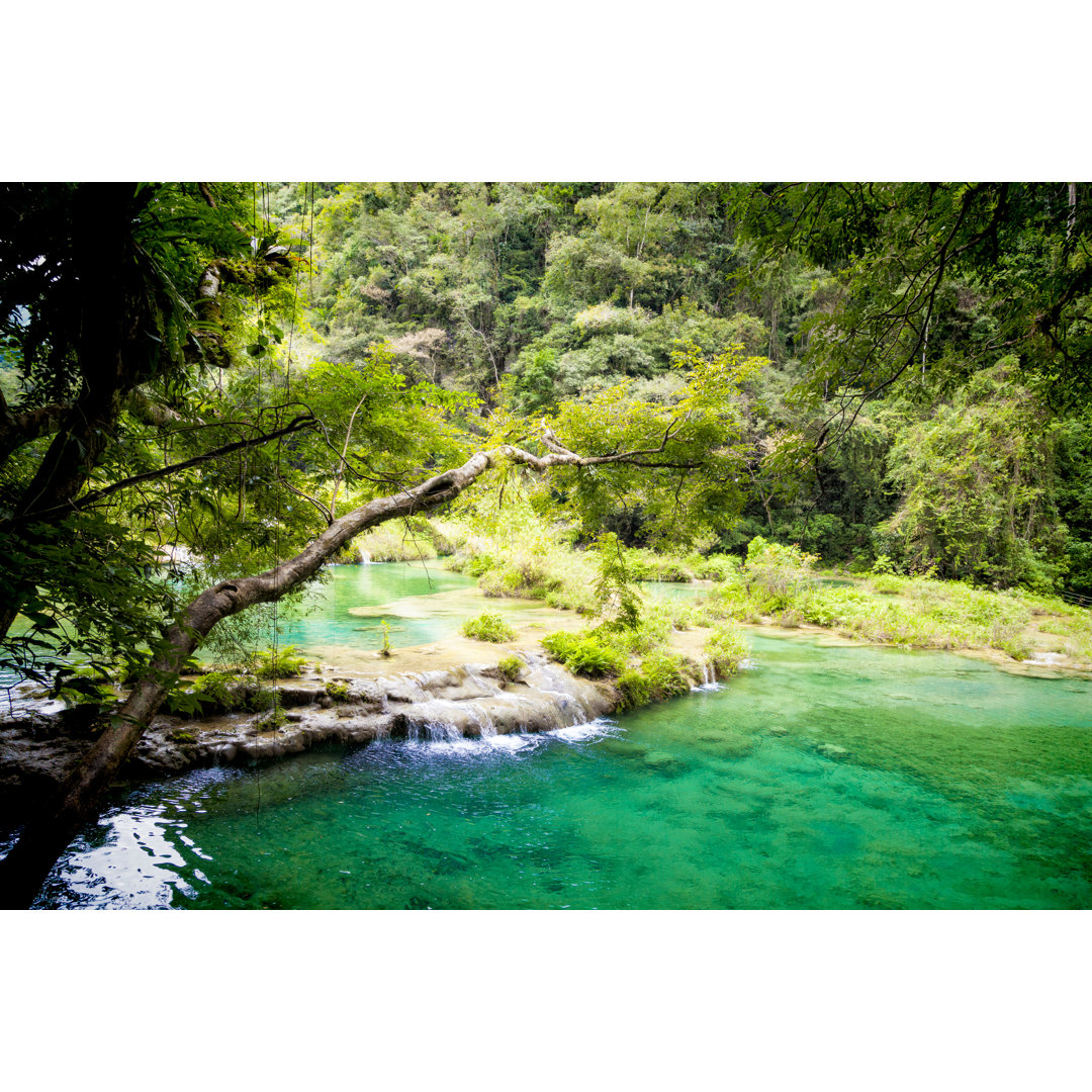 Semuc Champey Nationalpark von Opla - Kunstdrucke auf Leinwand