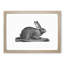 Illustration of a Hare - Framed Print-55579414-55579415