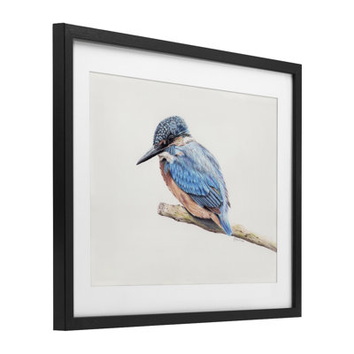 Vibrant Kingfisher on Branch Framed Print Under Glass, design by Cady Driver