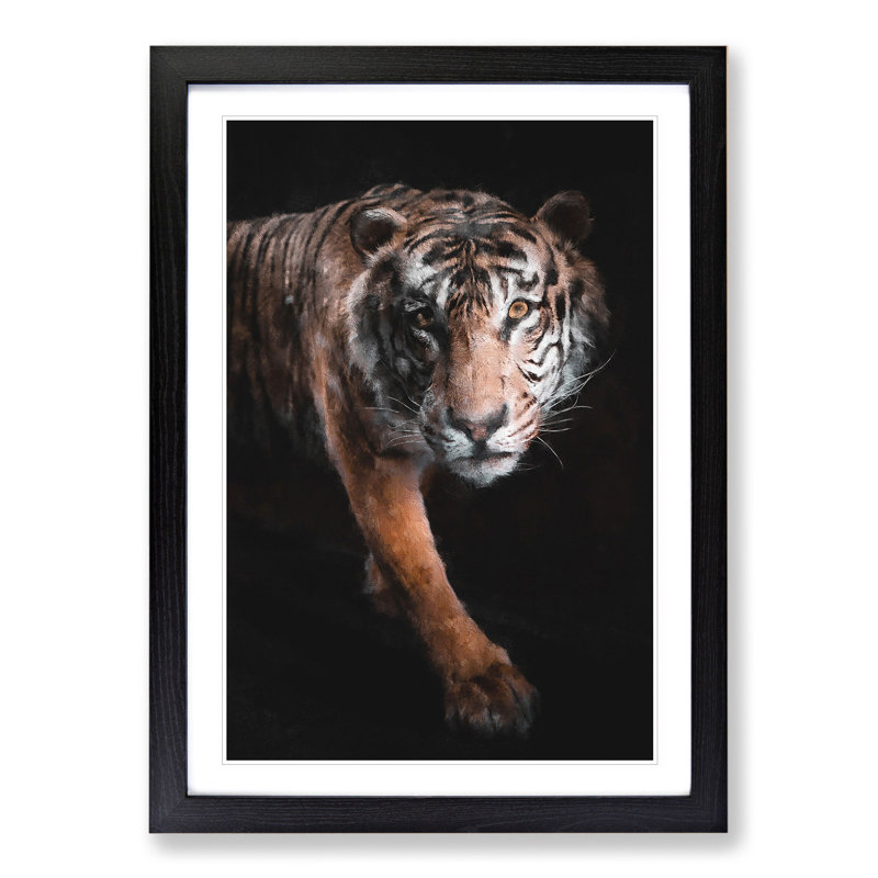 Prowling Tiger - Picture Frame Graphic Art, Black Framed, 36cm H x 27cm W x 2cm D