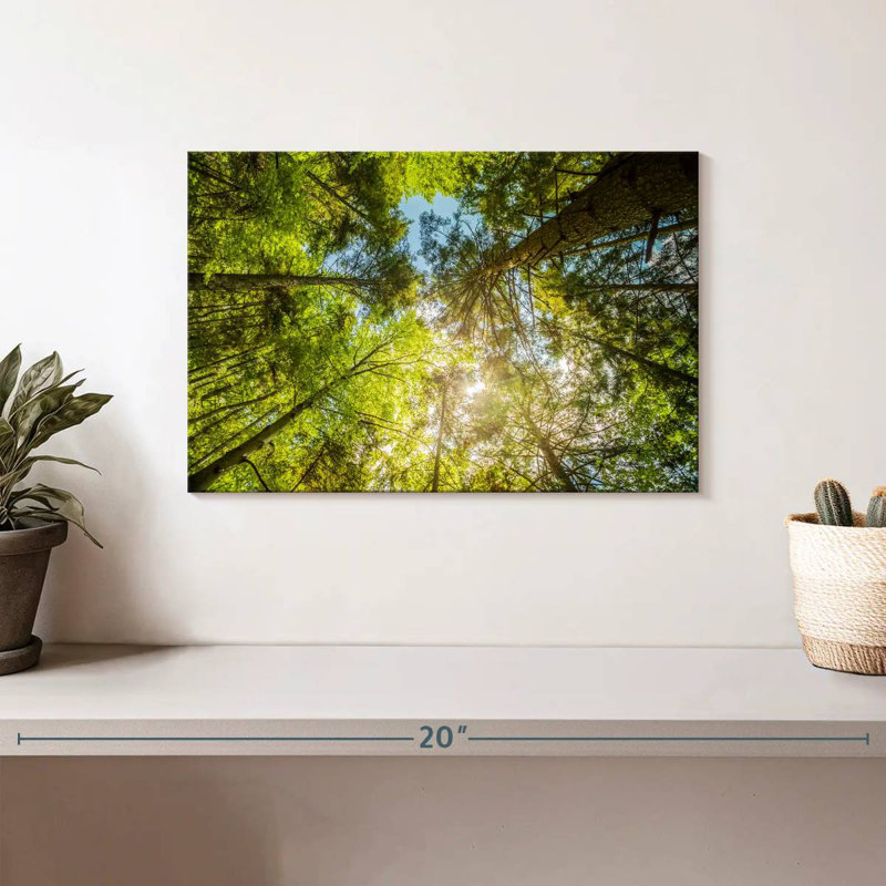 Harnek Tree Top, 8" H x 12" W