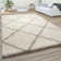 Steen Moroccan Area Rug