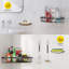 Longstreet Adhesive Stainless Steel Shower Shelf-2087708579