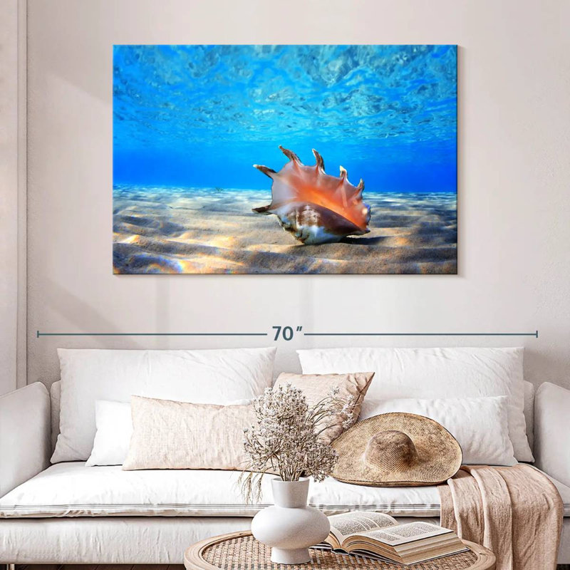 Seashell treasure Aletra, H 32 po x l 48 po