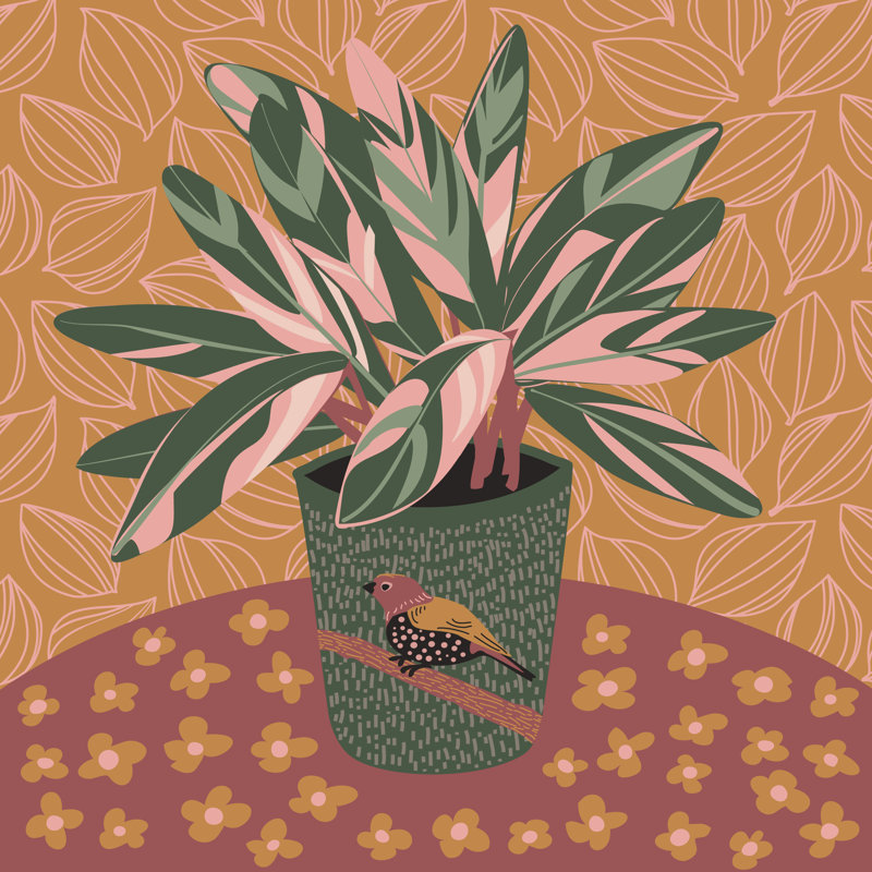 Stromanthe Triostar Houseplant 1 Piece Wrapped Canvas Wall Art, 76cm H x 76cm W