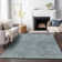 Lummus Southwestern Indoor / Outdoor Rug