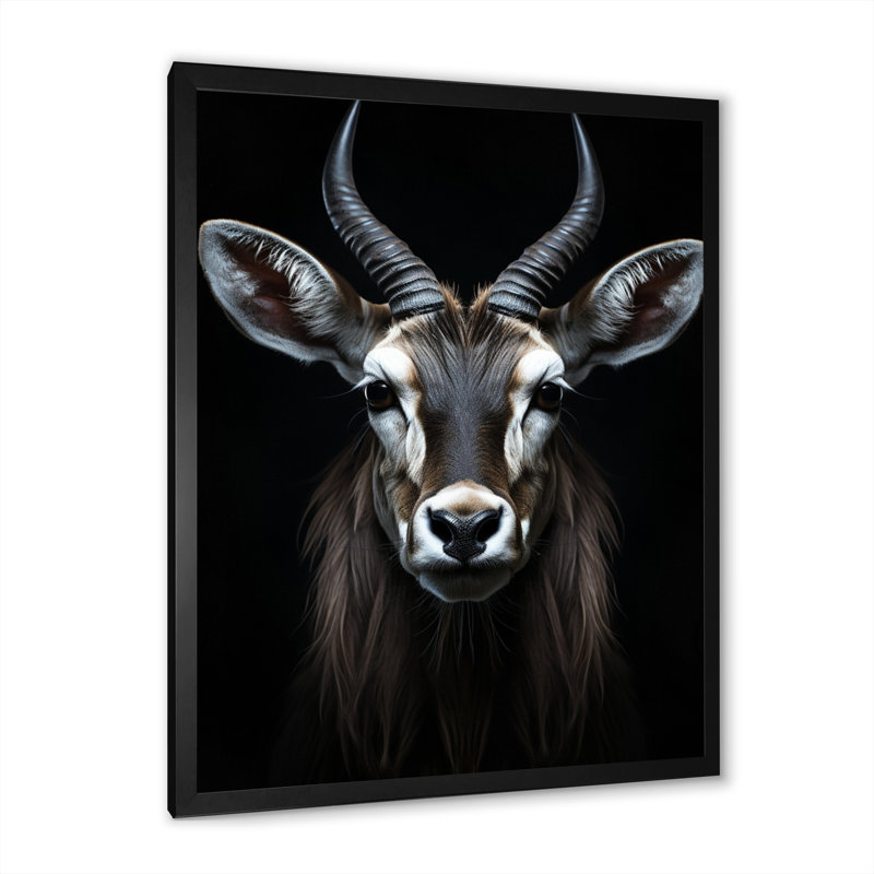 Antilope Keionna, photo II - impression, Cadre simple noir, H 32 po x l 16 po x P 1 po