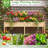 Raised Garden Bed Elevated Fir Wood Planter Box With 2 Large Planting Areas-1376967432