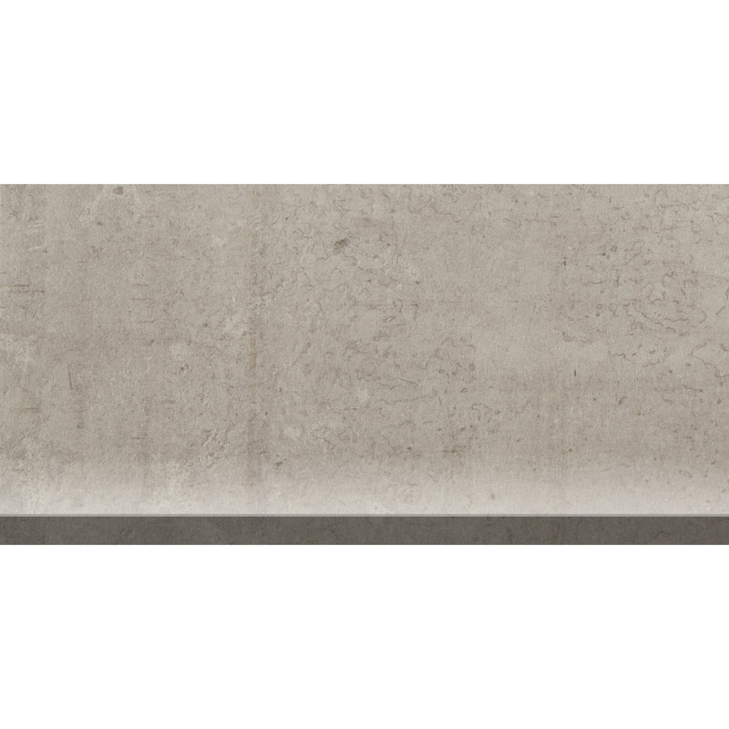 Citified 12'' L x 6'' W Porcelain Concrete Look Cove Base Tile Trim, Pewter