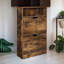 2 Drawer Shoe Storage Cabinet With Shelf Rustic