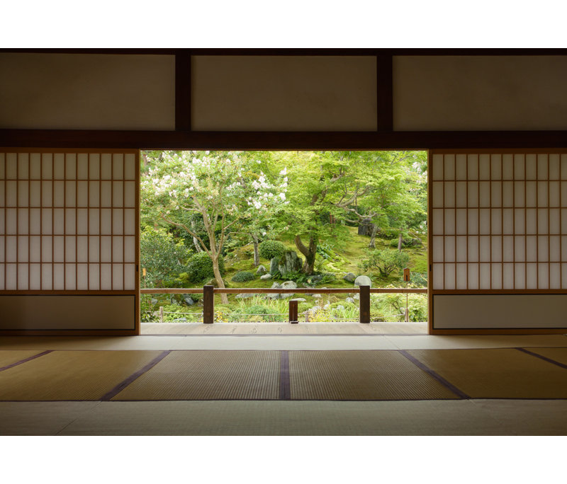 Wrapped Canvas Print, 50.8 cm H x 76.2 cm W