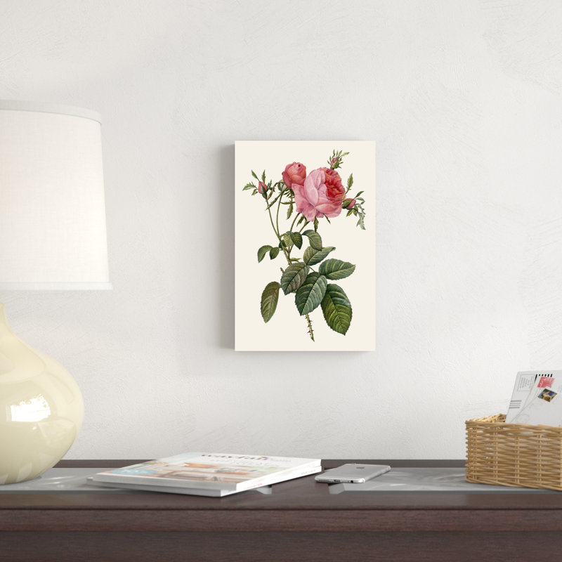 «Redoute's Rose II», peinture sur toile, H 12 po x l 8 po
