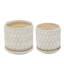 Neutral Textured Ceramic Saucer Planters Set of 2-1932373498
