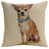 Beige/Brown Hilton The Chihuahua