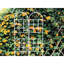 Treillis de jardin en métal, céramique, antirouille, 2 pièces, 19,6 po x 72 po, supports d'extérieur pour vignes de lierre, rose, gloire du matin, jasmin, plantes, plantes grimpantes,