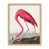Beige is unavailable