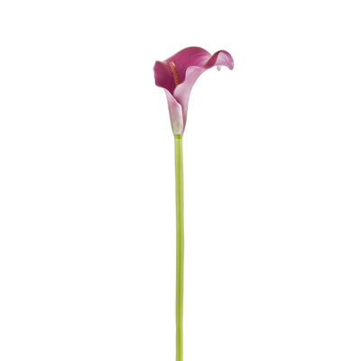 Arrangement floral d'hibiscus dans un vase
