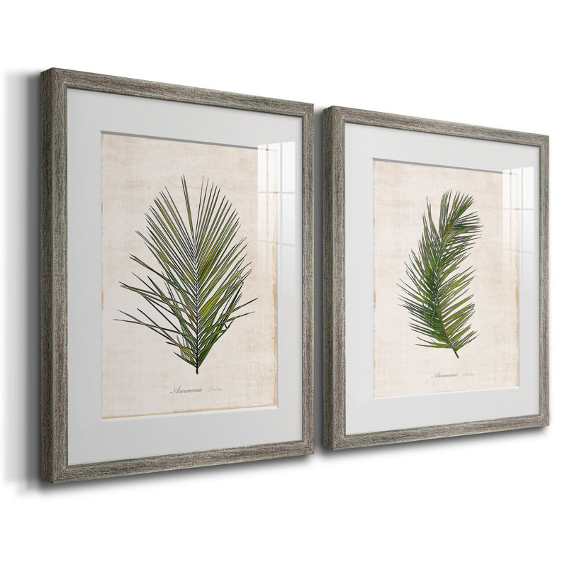 Palm Botanical I - reproduction encadrée de qualité supérieure - prête à être accrochée