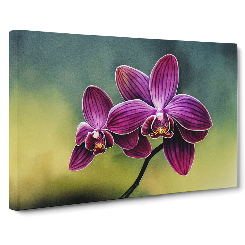 Brilliant Orchid Flowers - Wrapped Canvas, 35cm H x 50cm W x 3cm D