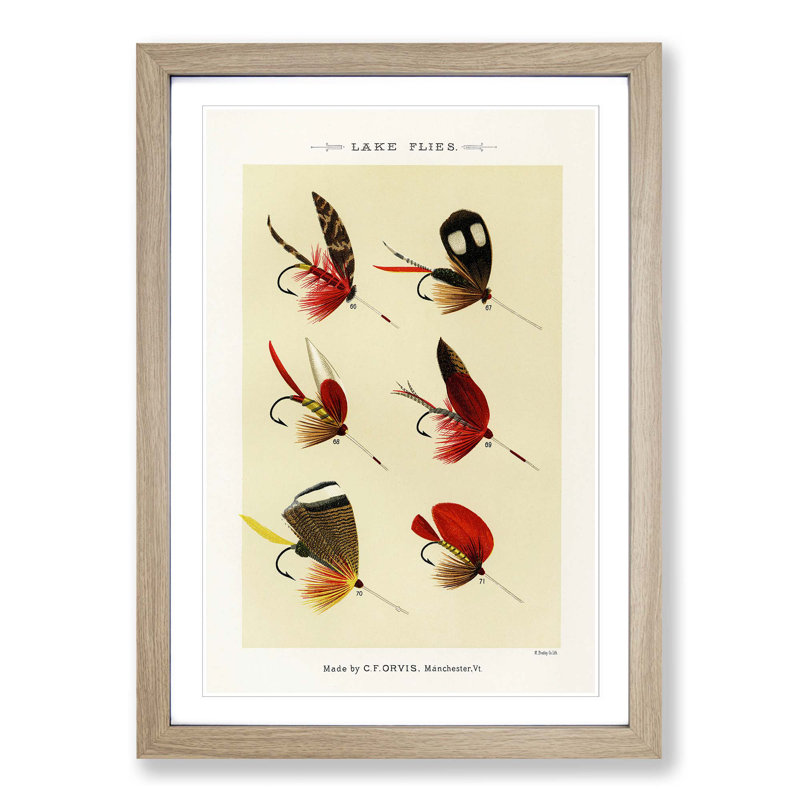 Lake Fishing Flies Version 5 by Mary Orvis Marbury - Picture Frame Painting Print, 50cm H x 35cm W x 2cm D, Oak