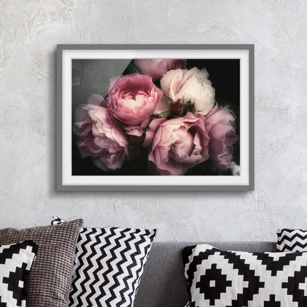 Gerahmter Grafikdruck Peonies Before Black Shabby