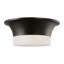 Dartmore 2 - Light Flush Mount-694528601