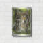 "Gallant" par Barbara Keith-700601435