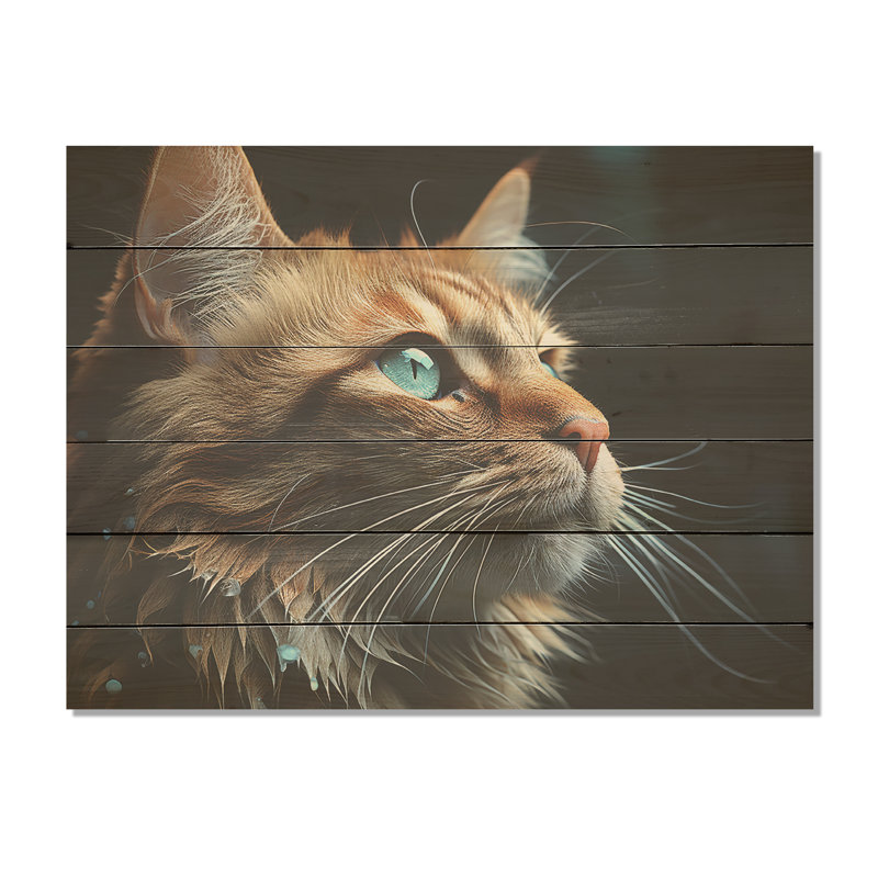 Chartreux Contemplation Cat Eyes - Art mural en bois sur bois de pin naturel, H 10 po x l 20 po