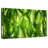 Harnek Backlit Green Leaves-107720141