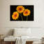 Trois marguerites Harnek sur fond sombre-108136809